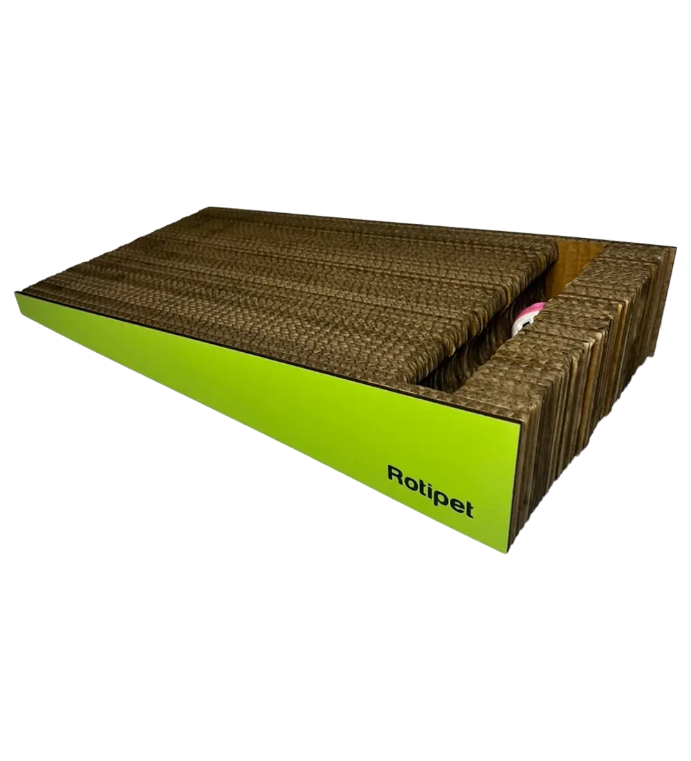 Kratzbrett mit Spielkugel in Grün