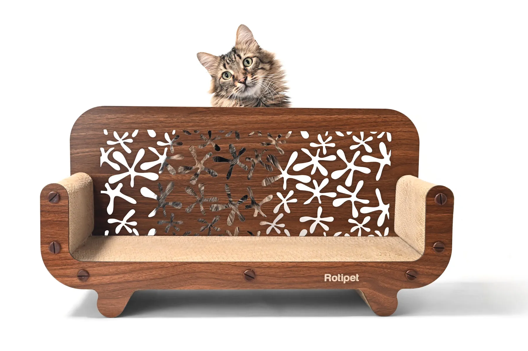 STELLA Katzen-Couch aus Wellpappe